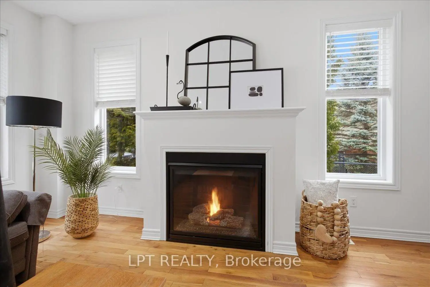 62 Williams Street photo 4