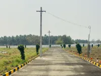 Kinathukadavu, Coimbatore photo 3
