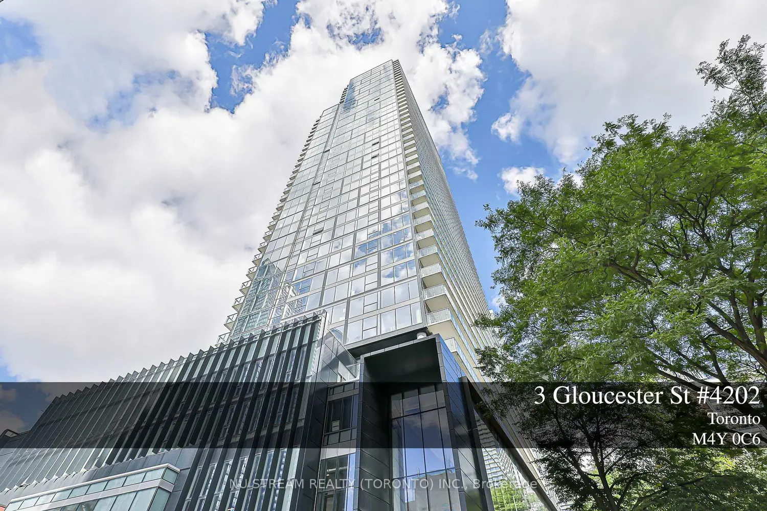 3 Gloucester Street 4202