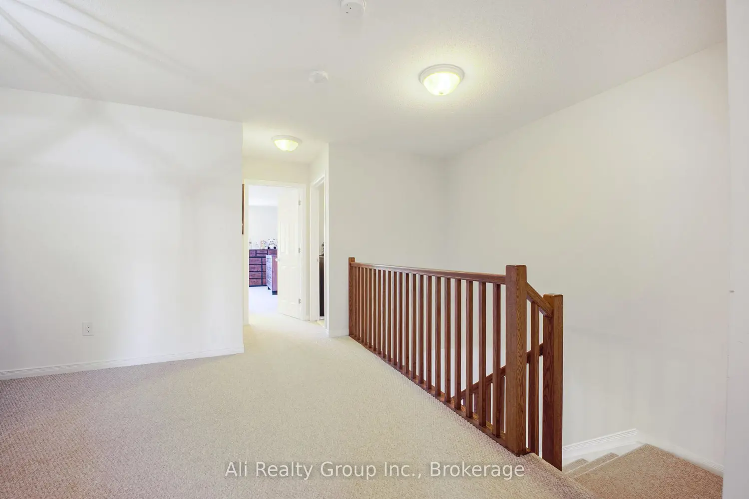 330 Nonius Street photo 5