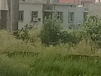 Patanjali Yogpeeth, Haridwar photo 2