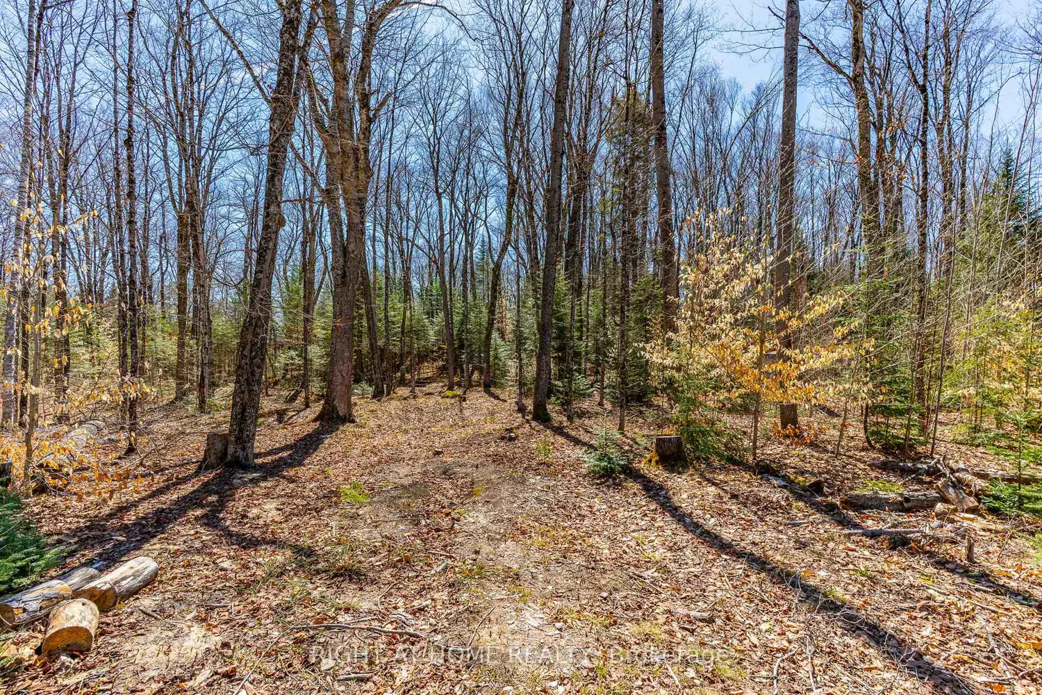 1066 Loop Road photo 2