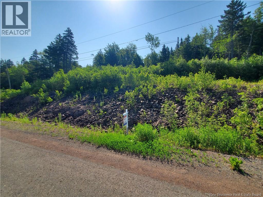 20-54 Orchard Avenue