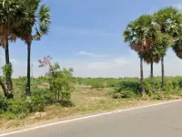 IT Park, Madurai photo 2