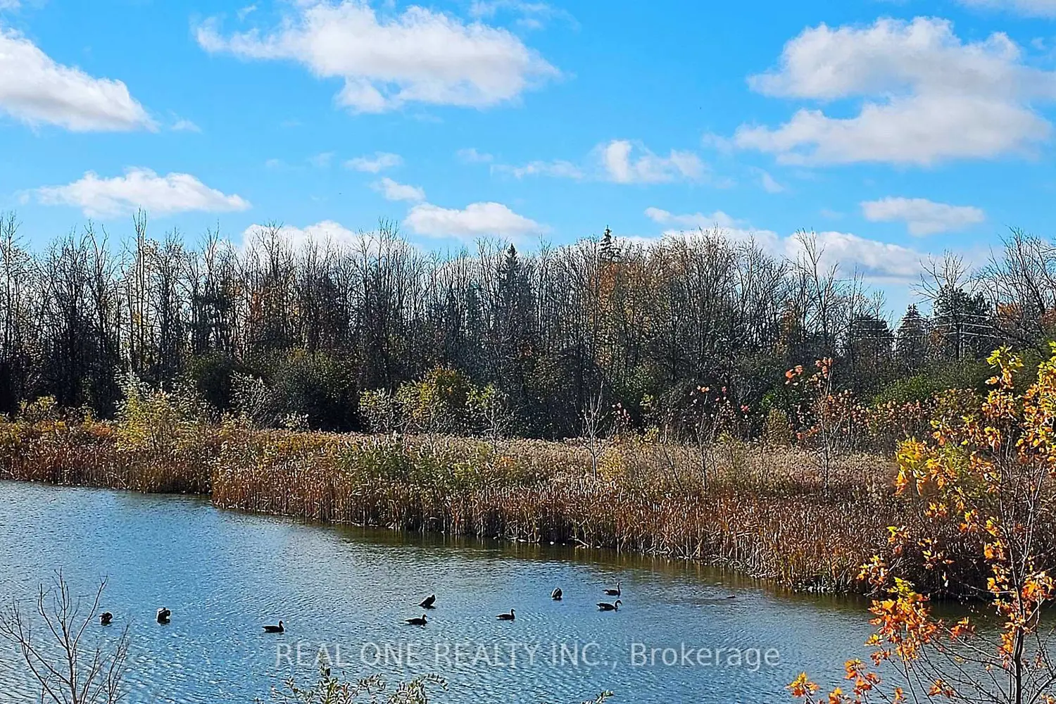 85 Riley Reed Lane photo 2