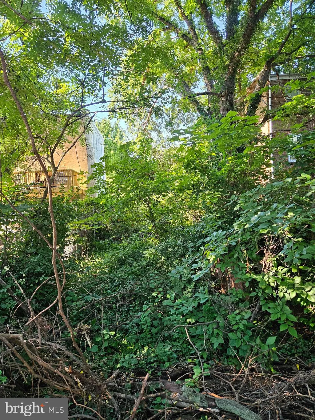 4224 Foote Street NE, Washington, DC 20019