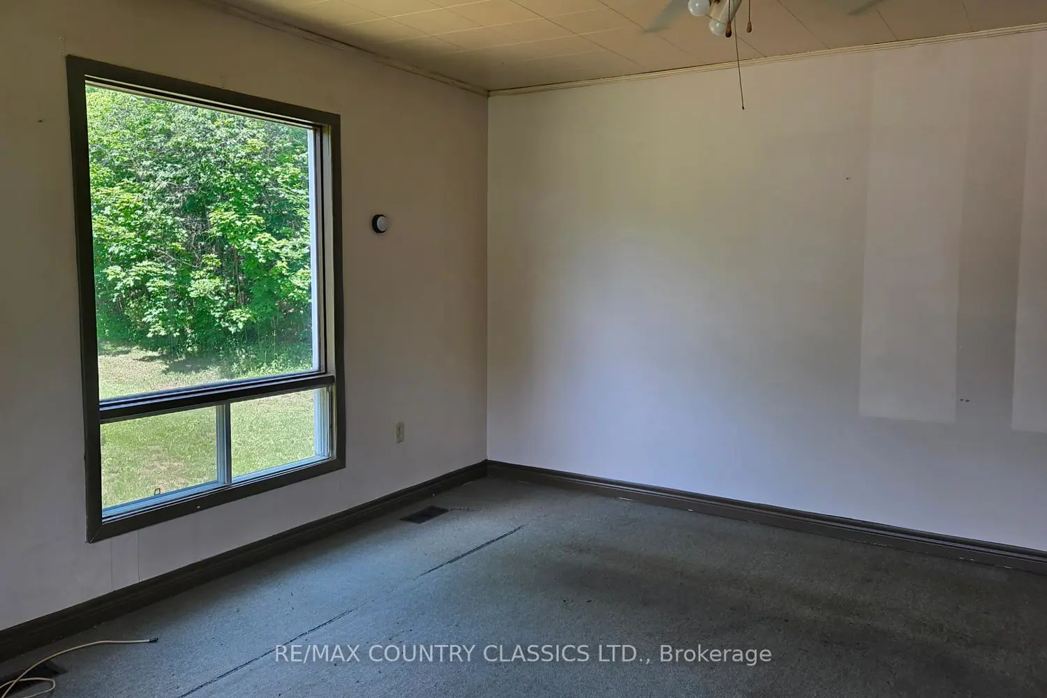 7118 Highway 620 photo 4