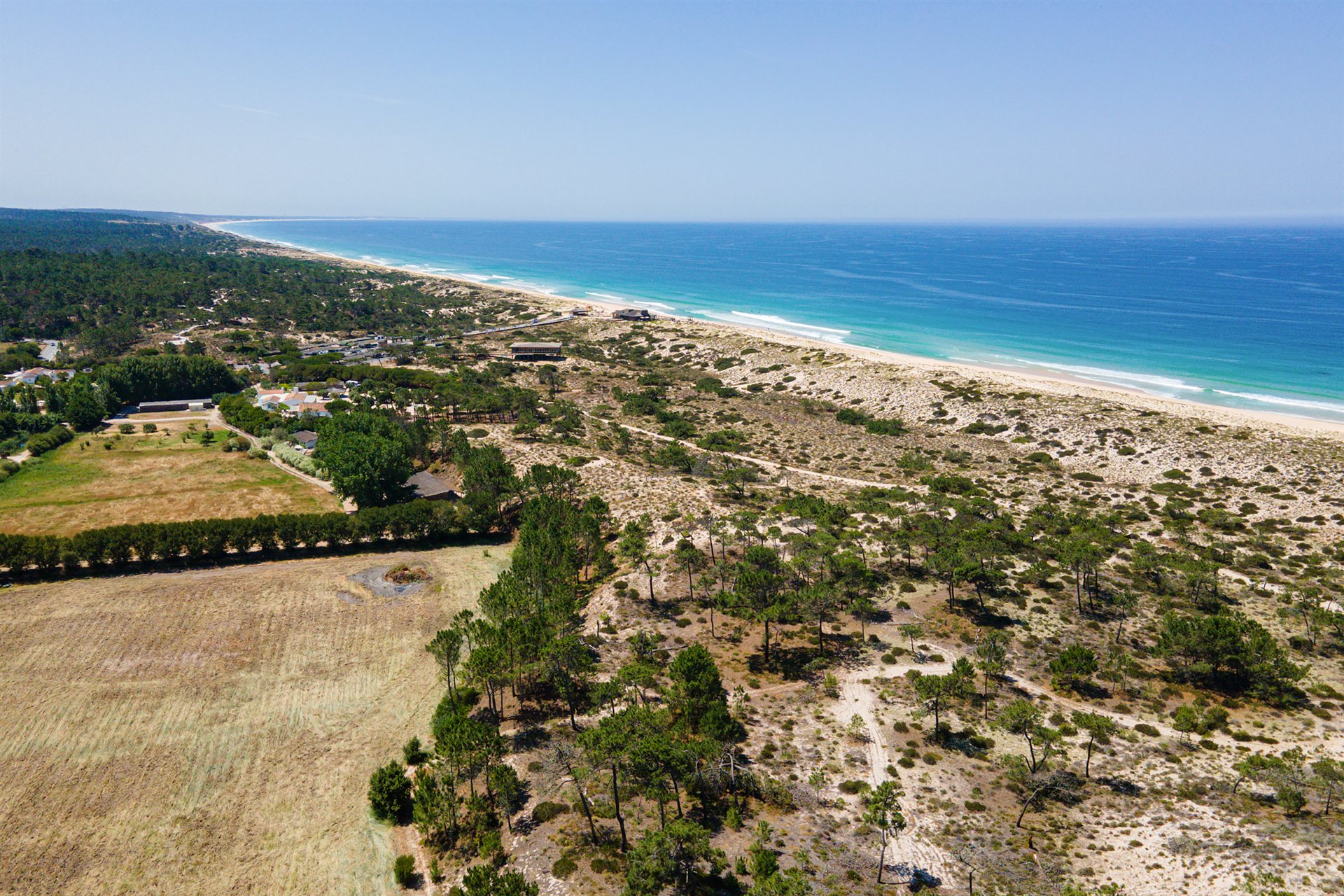 Comporta (Alcácer do Sal) photo 3