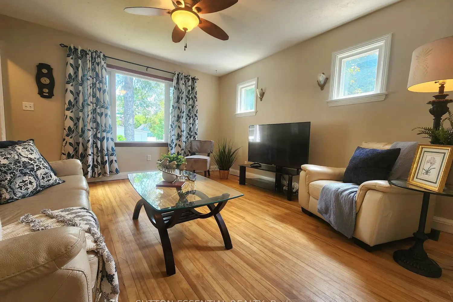 10 Oak Street photo 4