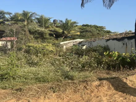 Baga, Goa
