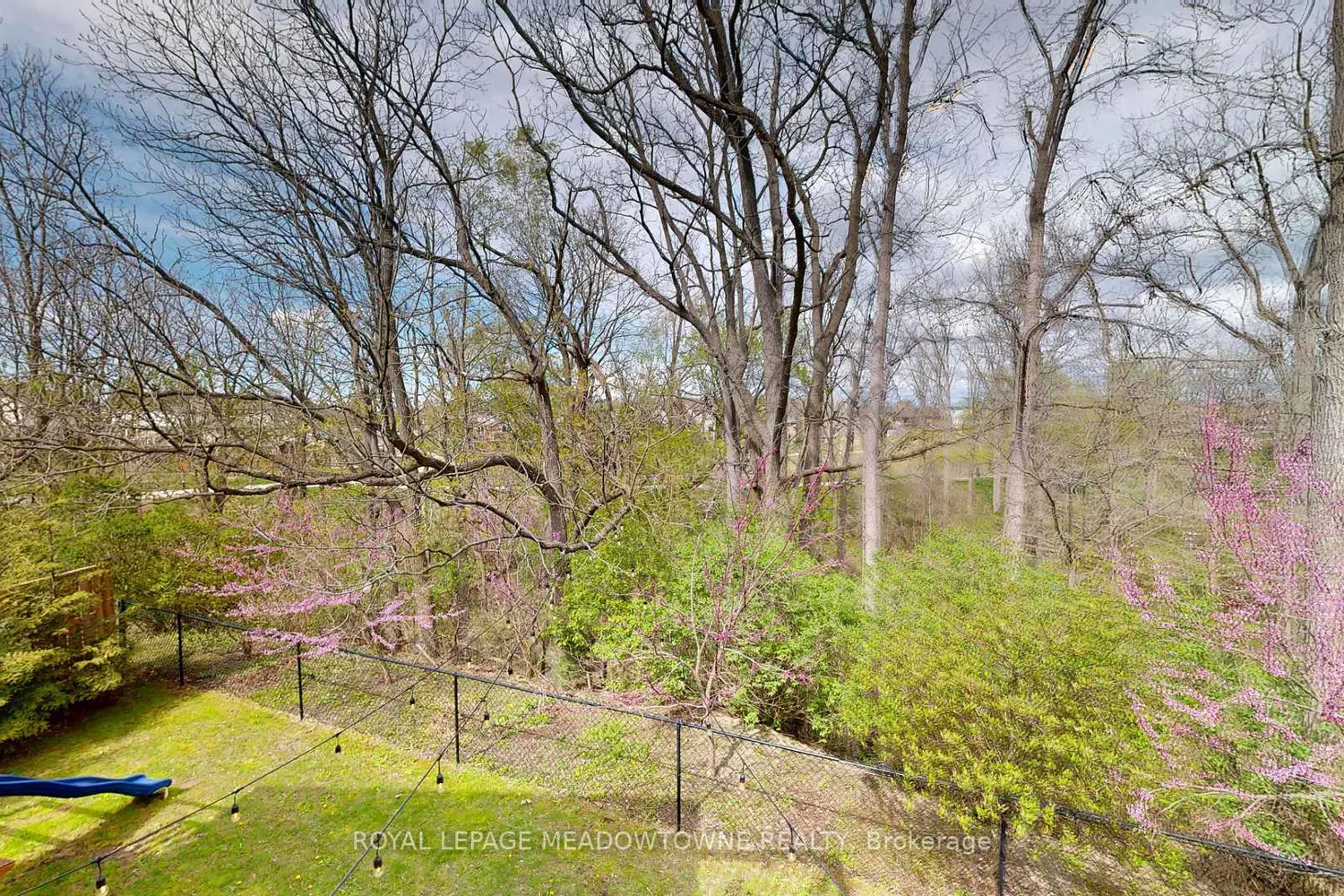 30 Jacklin Court photo 3