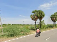 IT Park, Madurai photo 3