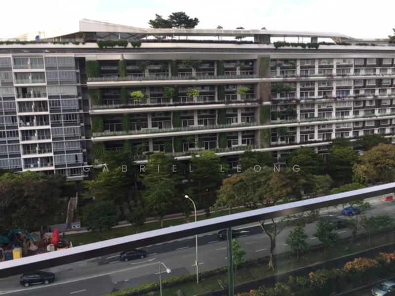 11 King Albert Park photo 4