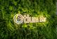 Otium, Manchester Road, Stocksbridge, Sheffield photo 2