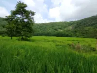 Dodamarg, North Goa, Goa photo 2