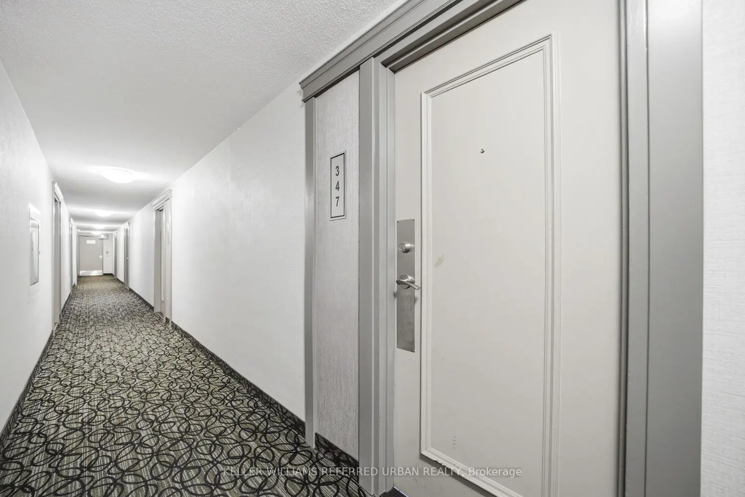 16B Elgin Street 347 photo 2