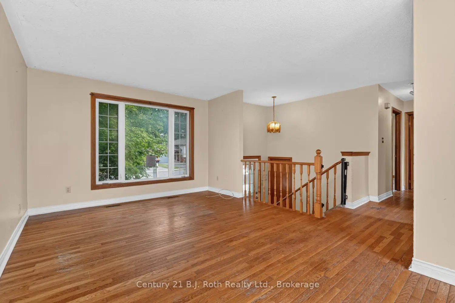 232 Shannon Street photo 3