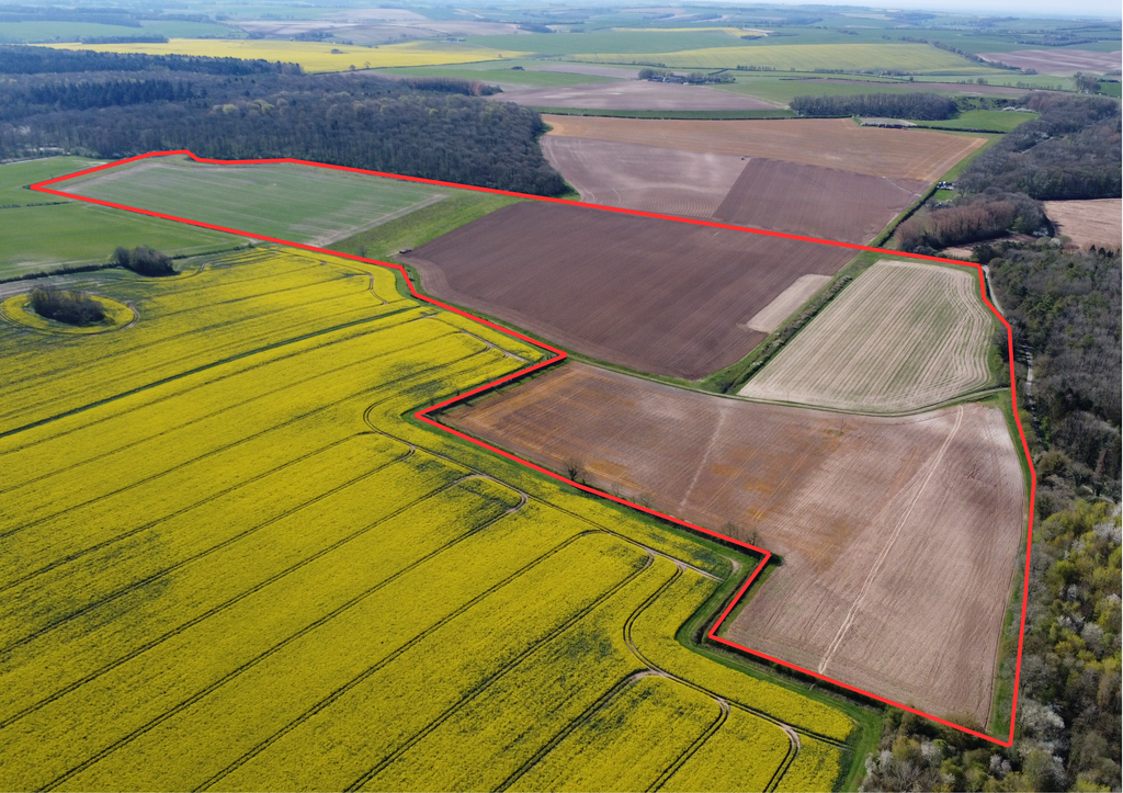 Farm for saleHaugham Pastures, Little Cawthorpe, Louth LN11