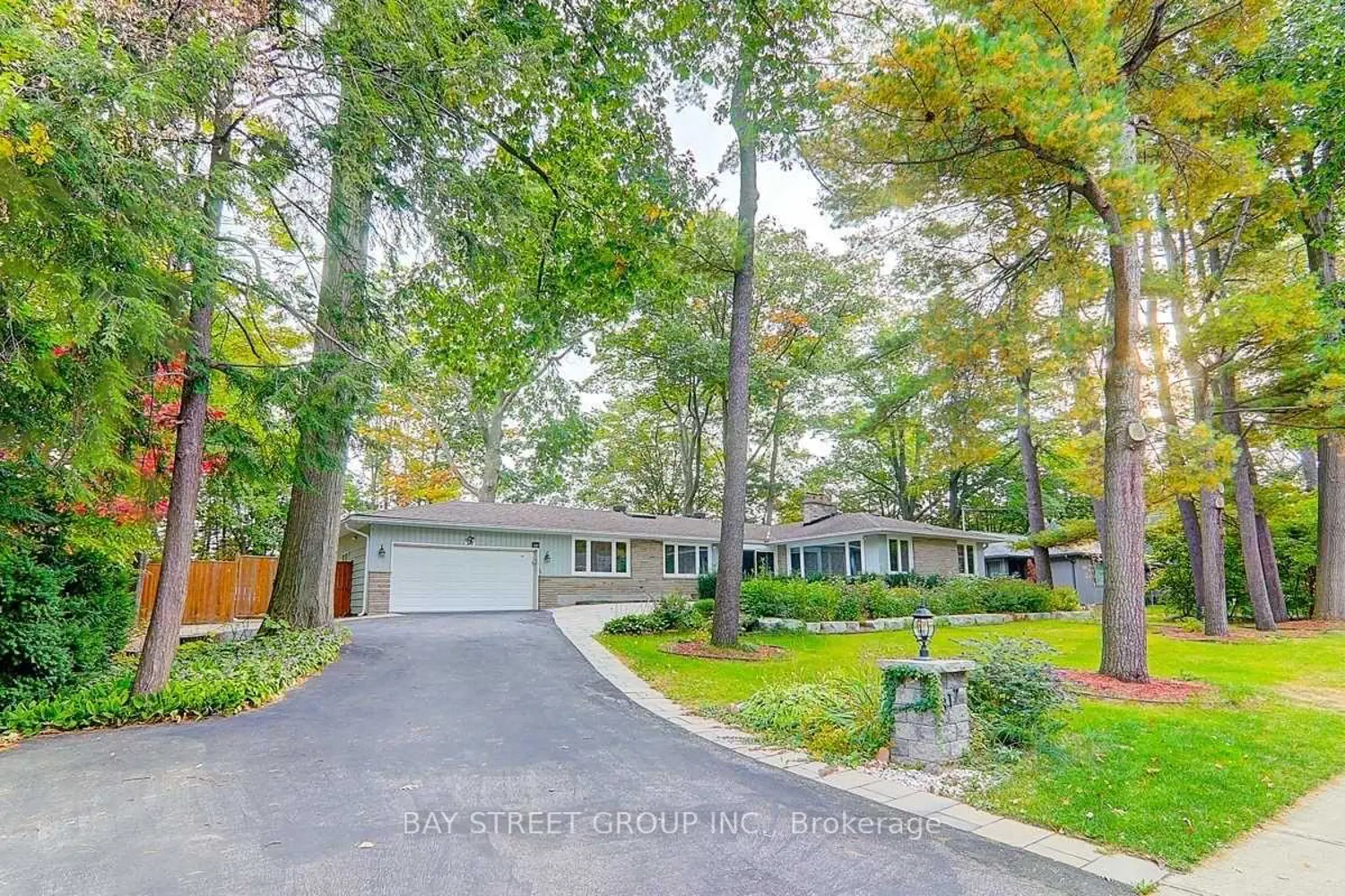 317 Wedgewood Drive photo 2