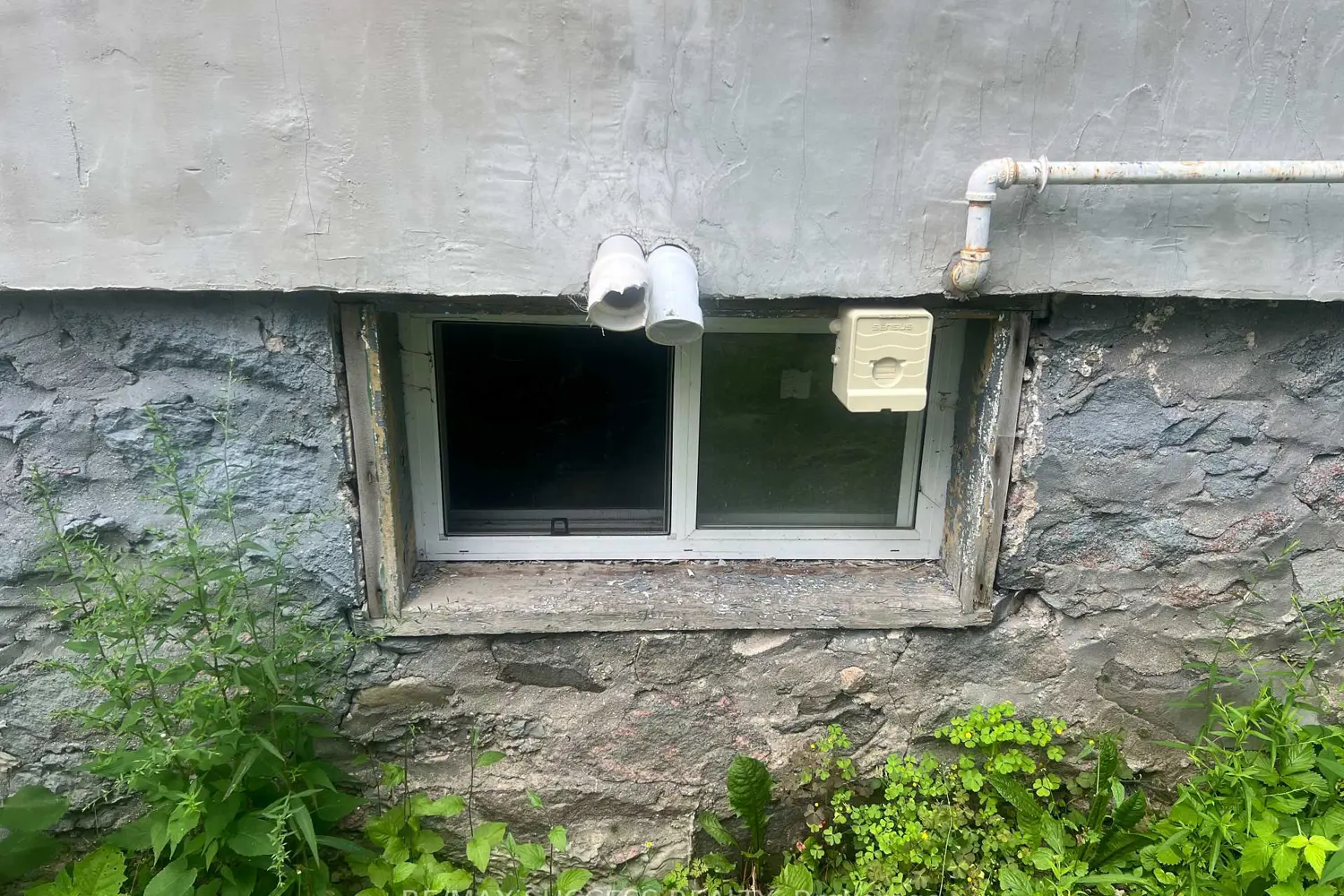 243 Harvey Street photo 4