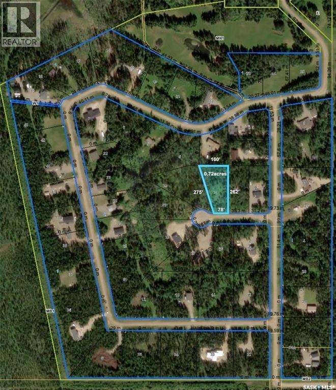 6 Roy Stevens BAY
