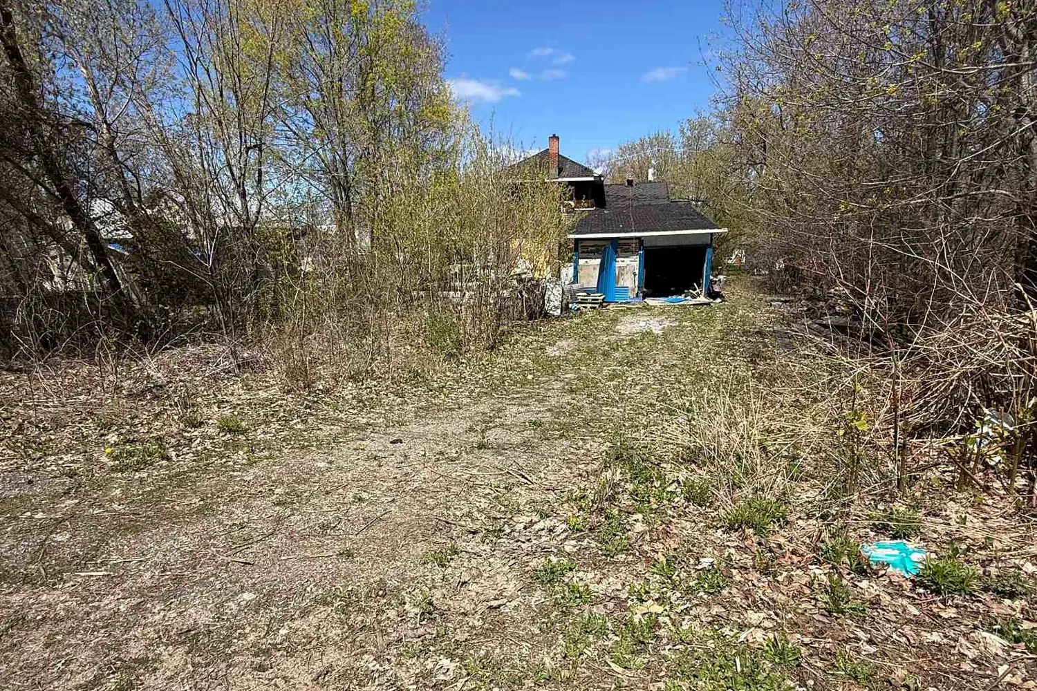 502 Martin Street photo 4