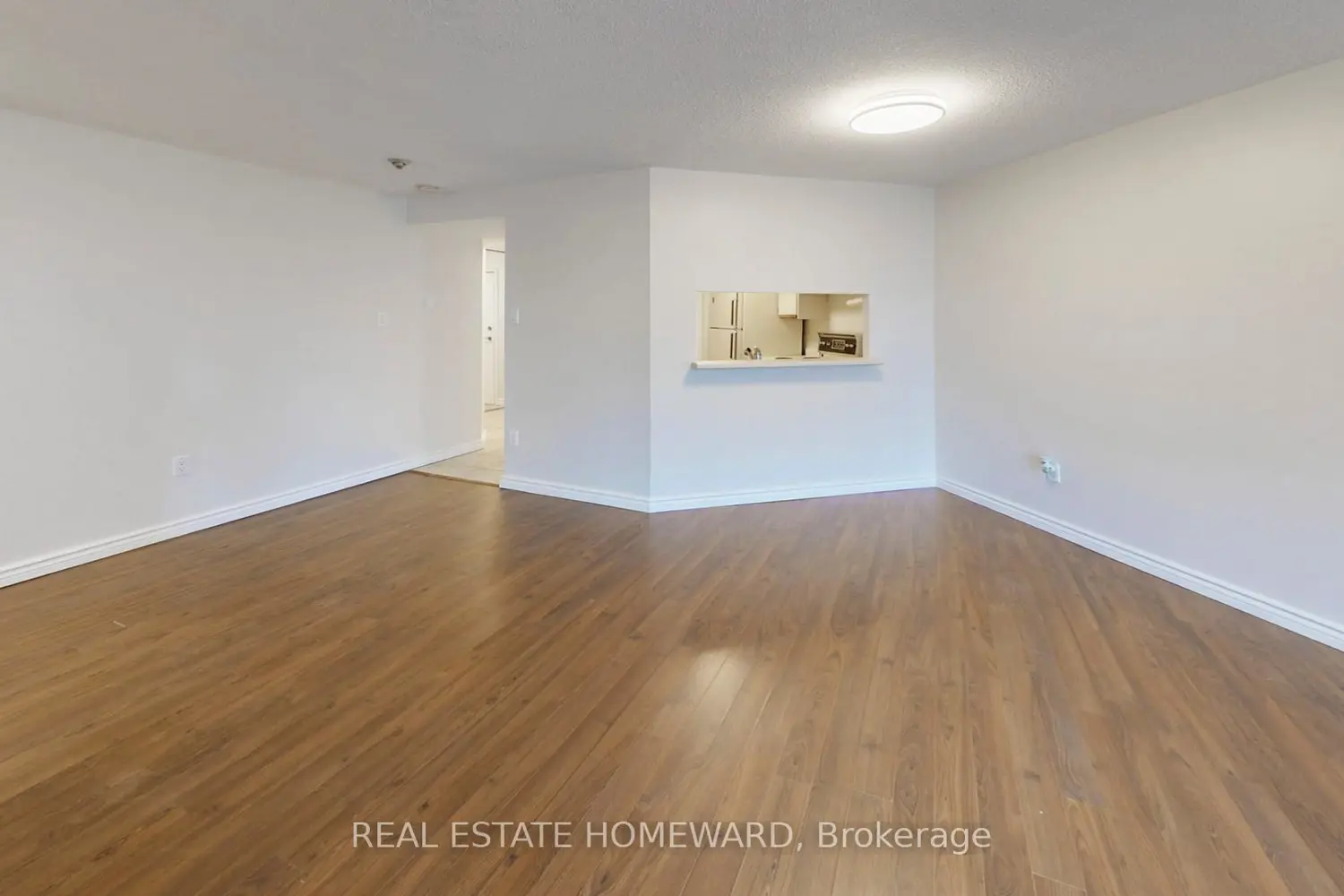 77 Maitland Place 409 photo 4
