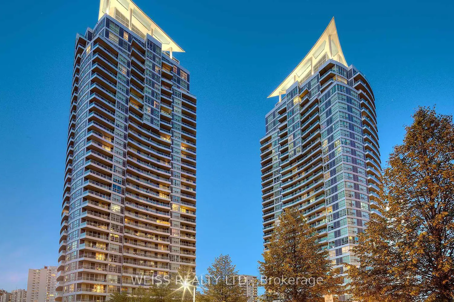 33 Elm Drive 310