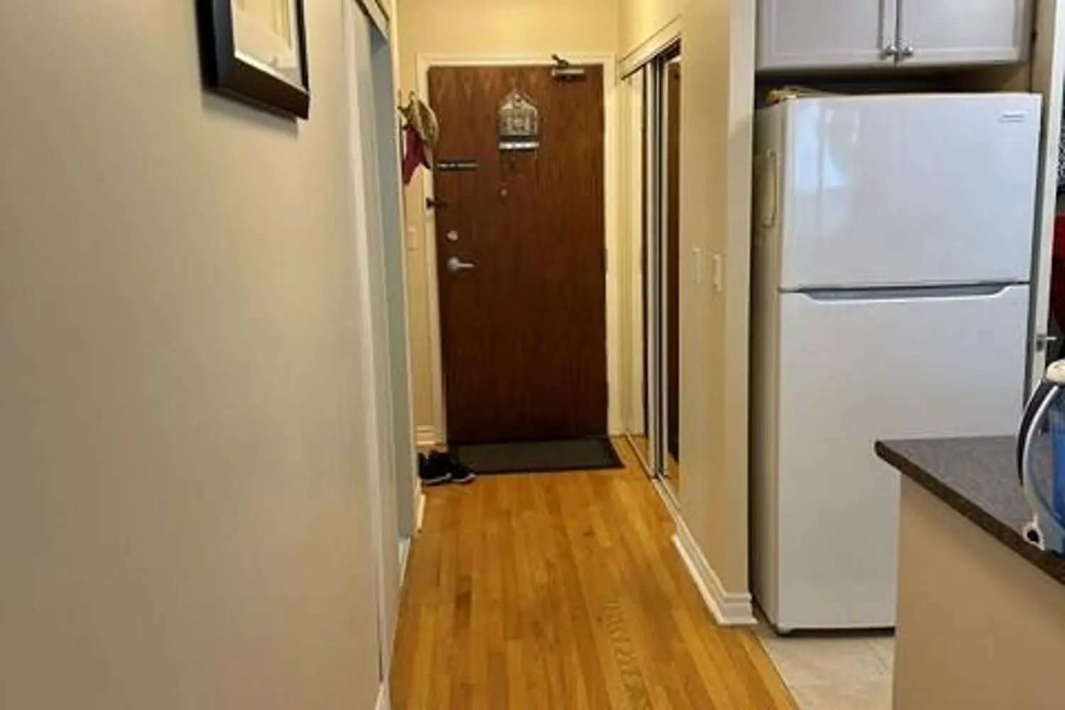 33 Elm Drive 310 photo 5