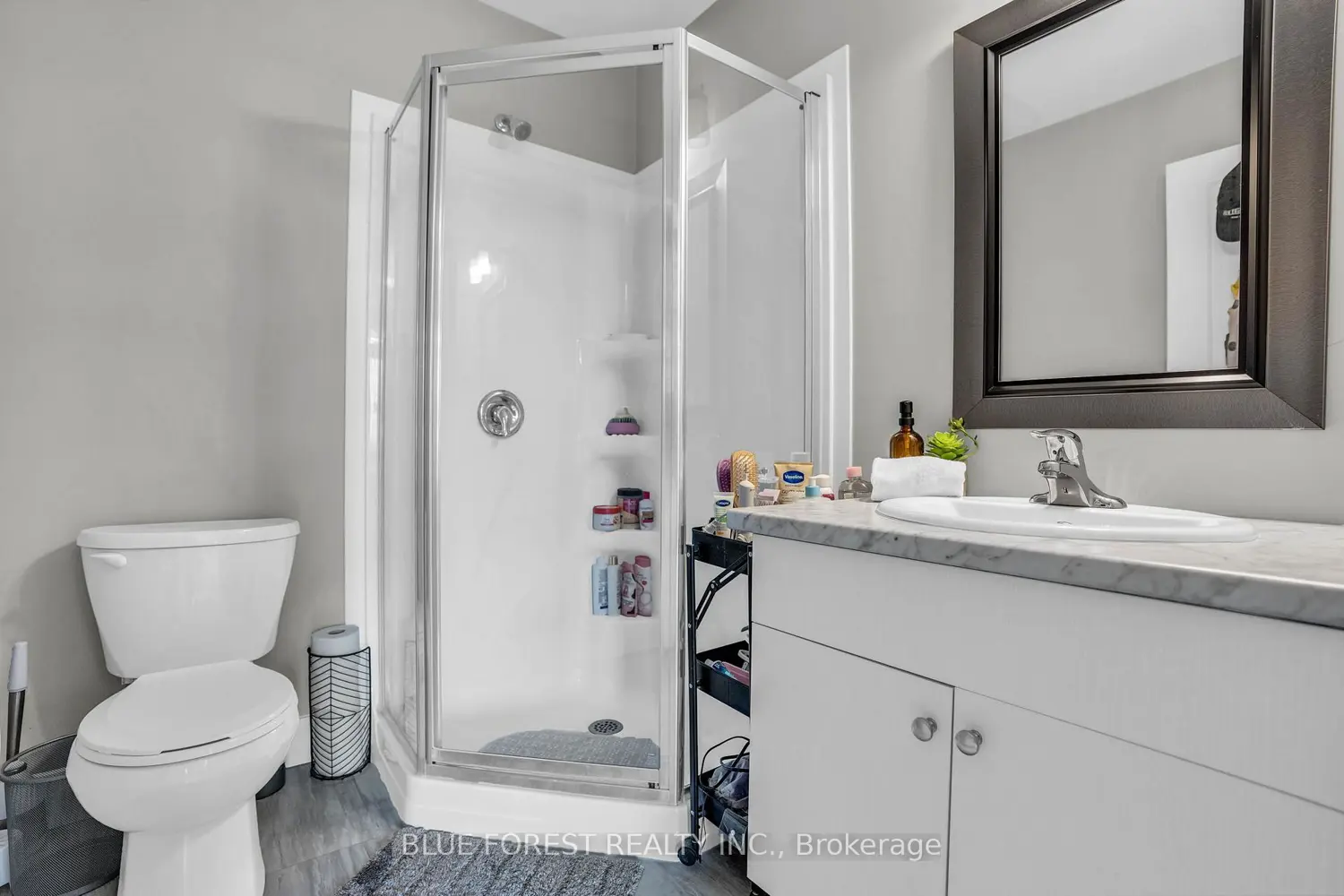 2070 Meadowgate Boulevard 4 photo 4
