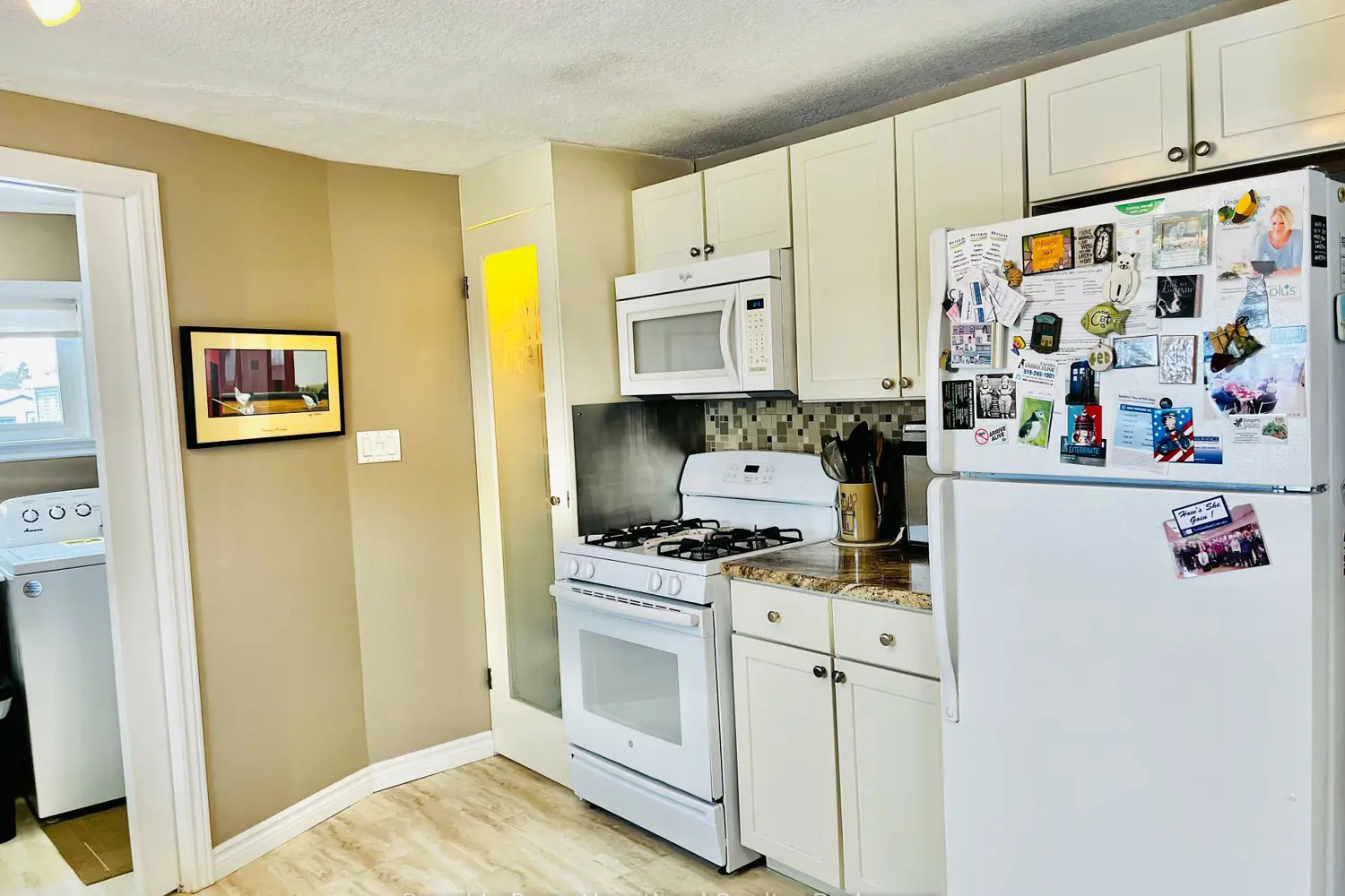 12 Velma Street photo 2