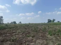 Hingna, Nagpur photo 3
