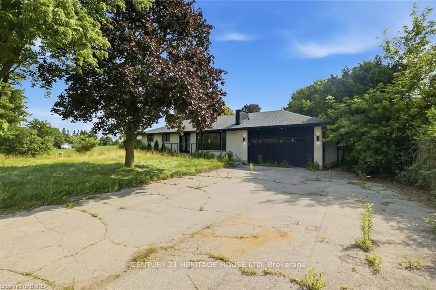 Photos coming soon