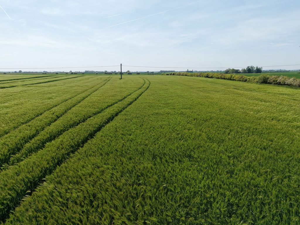 Farm for saleAusten Fen, Grainthorpe, Louth LN11