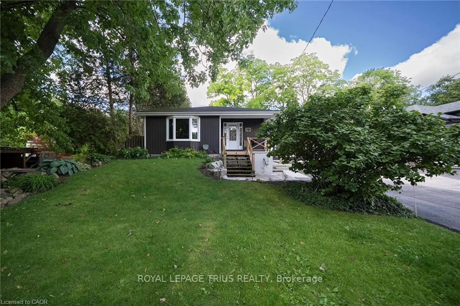 260 Owen Street photo 3