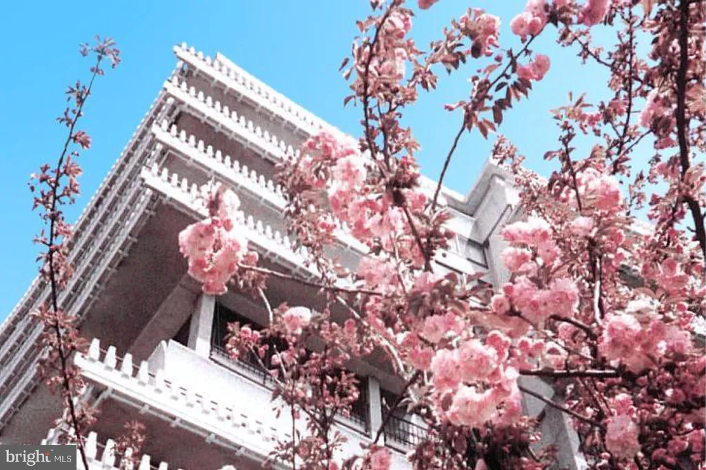 2700 Virginia Avenue NW Unit 1205, Washington, DC 20037