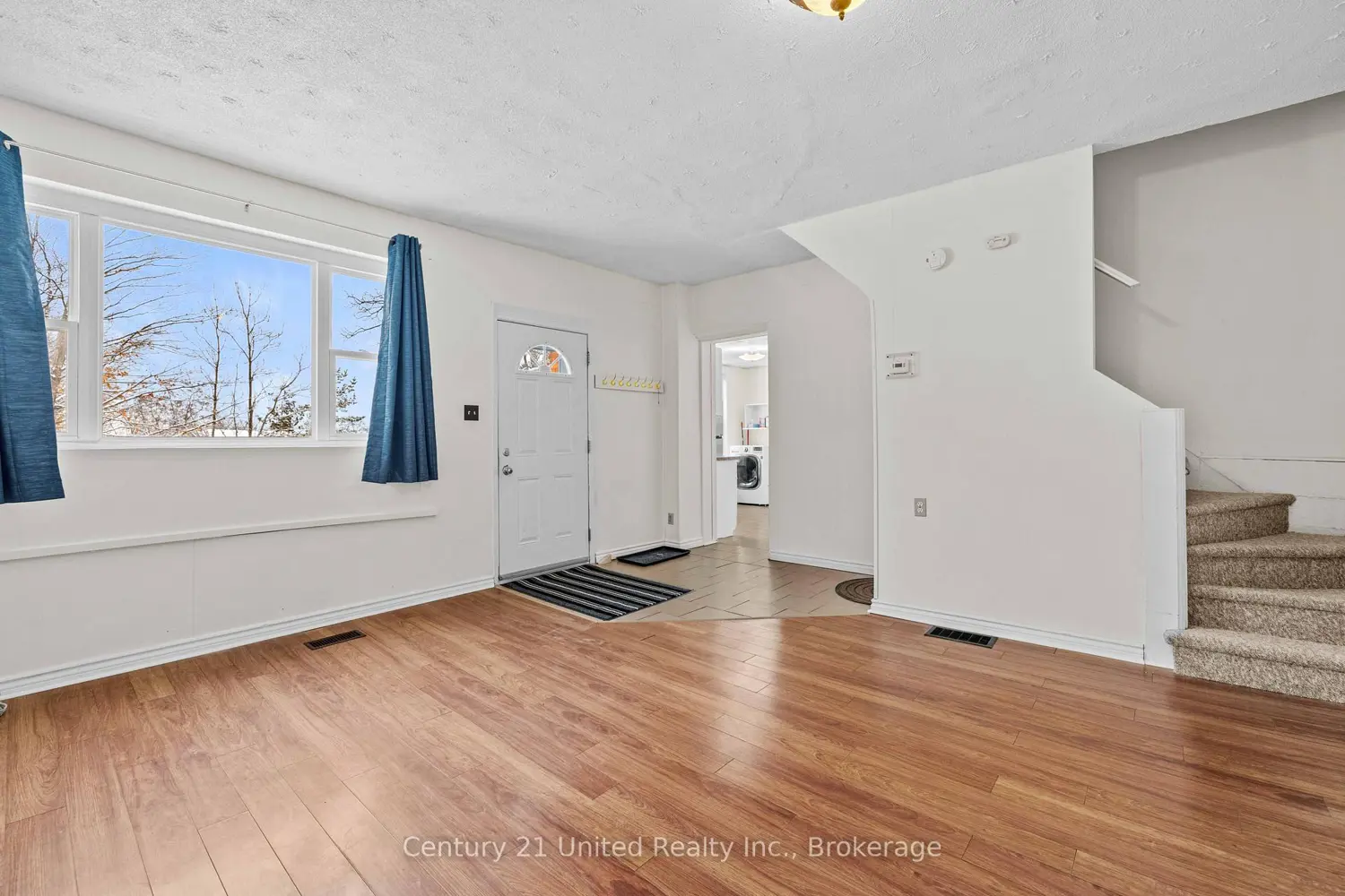 234 Antrim Street photo 5