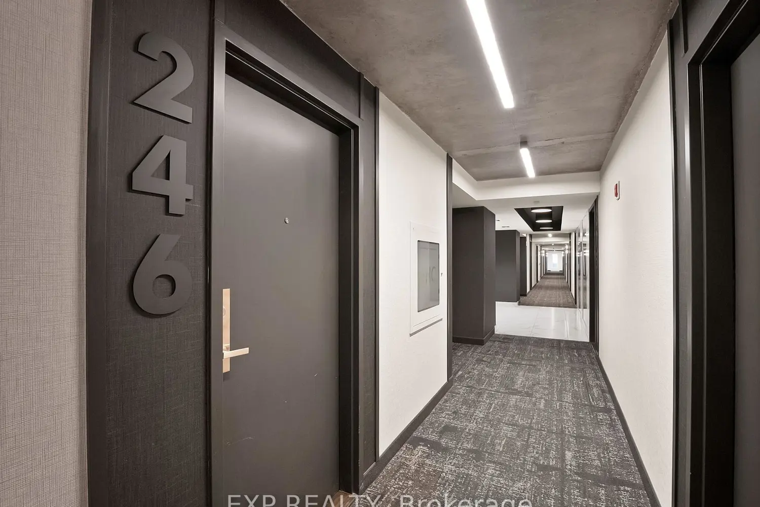 1029 King Street 246