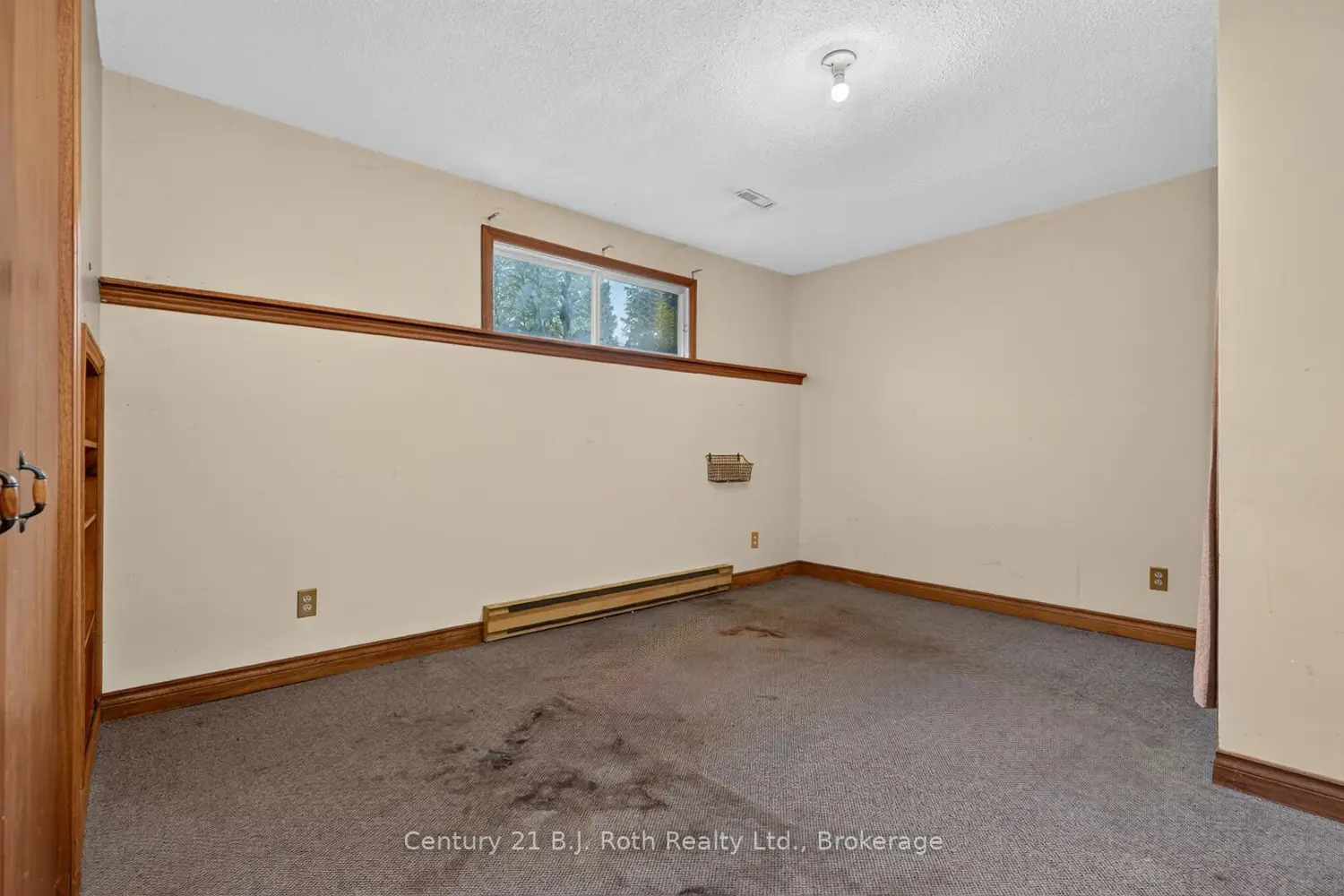 232 Shannon Street photo 5