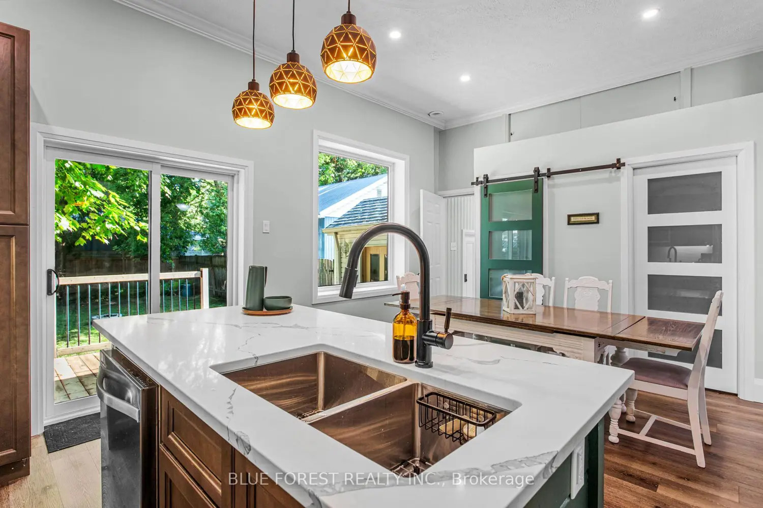 295 Buller Street photo 3