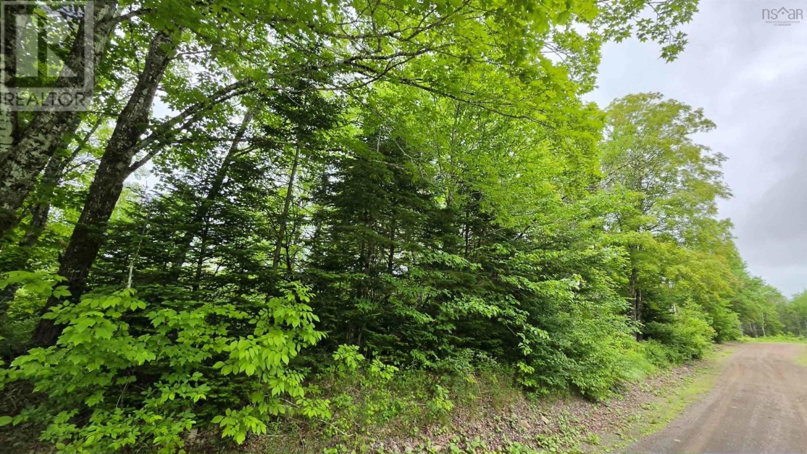 Ohio East Side Road