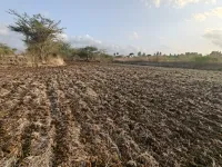 Igatpuri, Nashik photo 3
