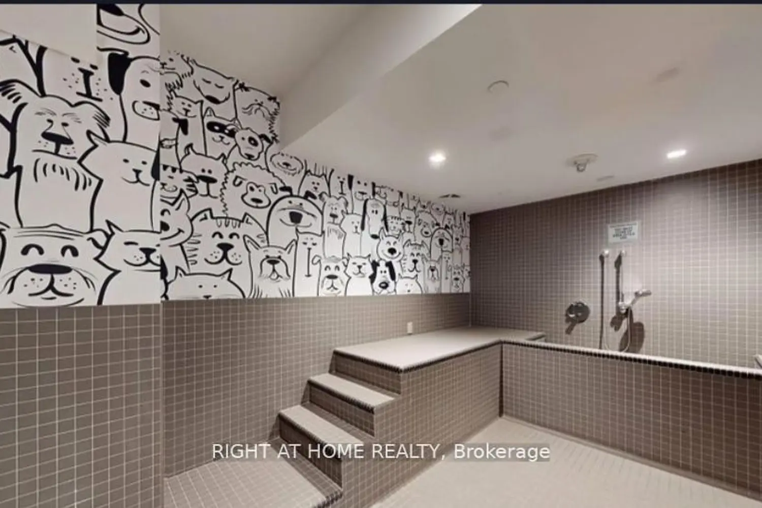 15 Holmes Avenue photo 3