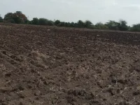 Dhoraji, Rajkot photo 3