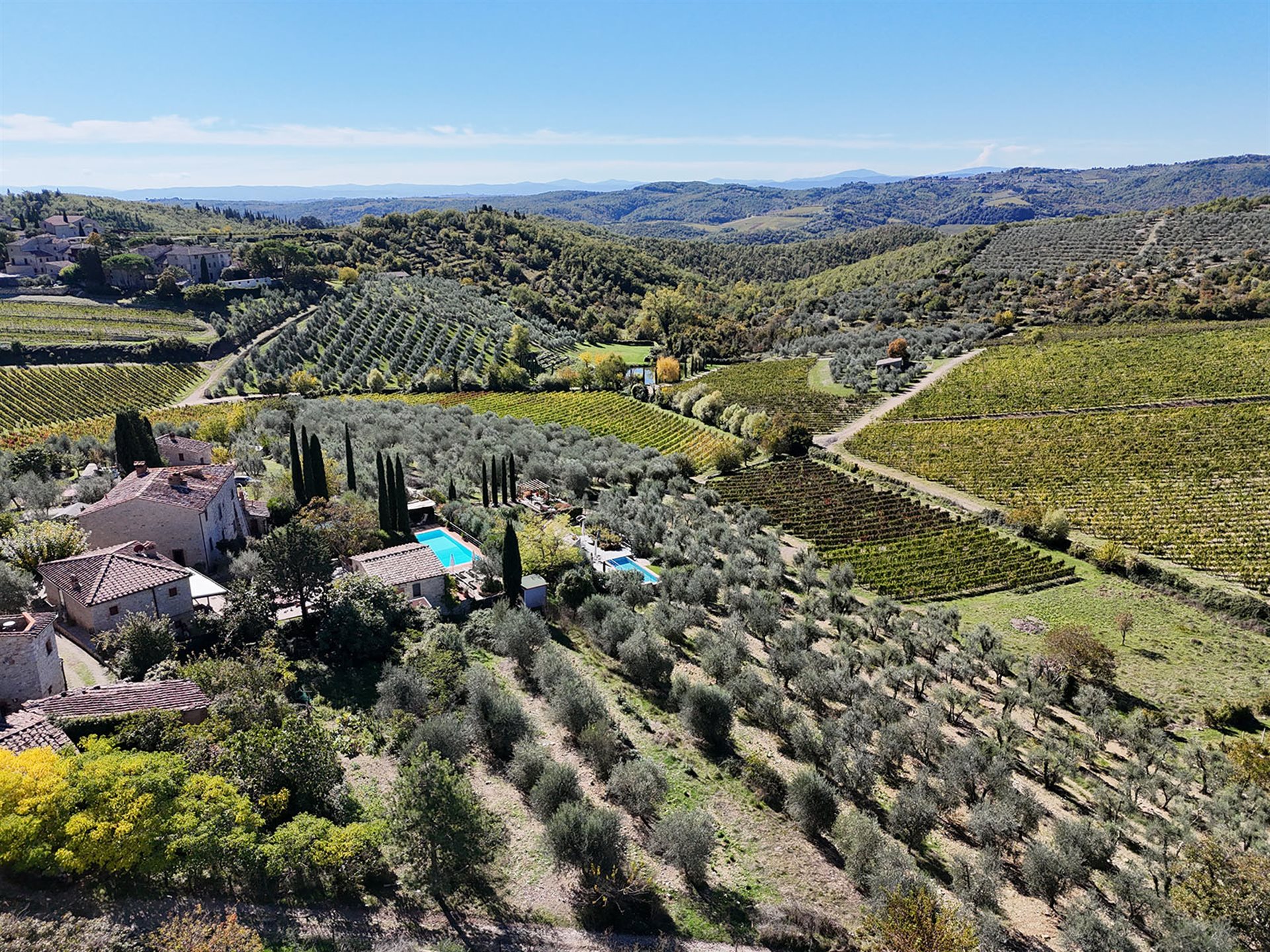Gaiole in Chianti (Siena) photo 3