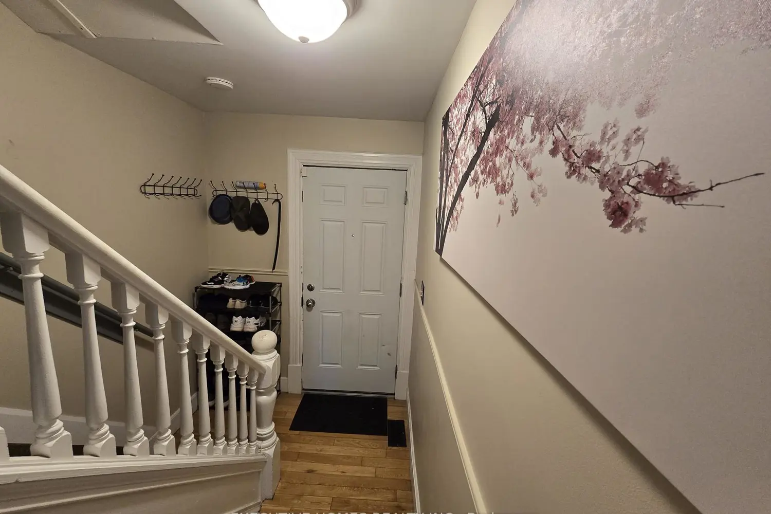19 Cedar Street photo 3