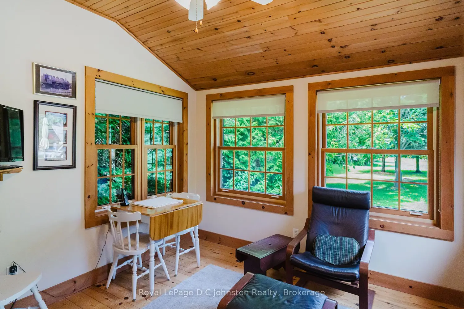 161 Grey Street photo 4