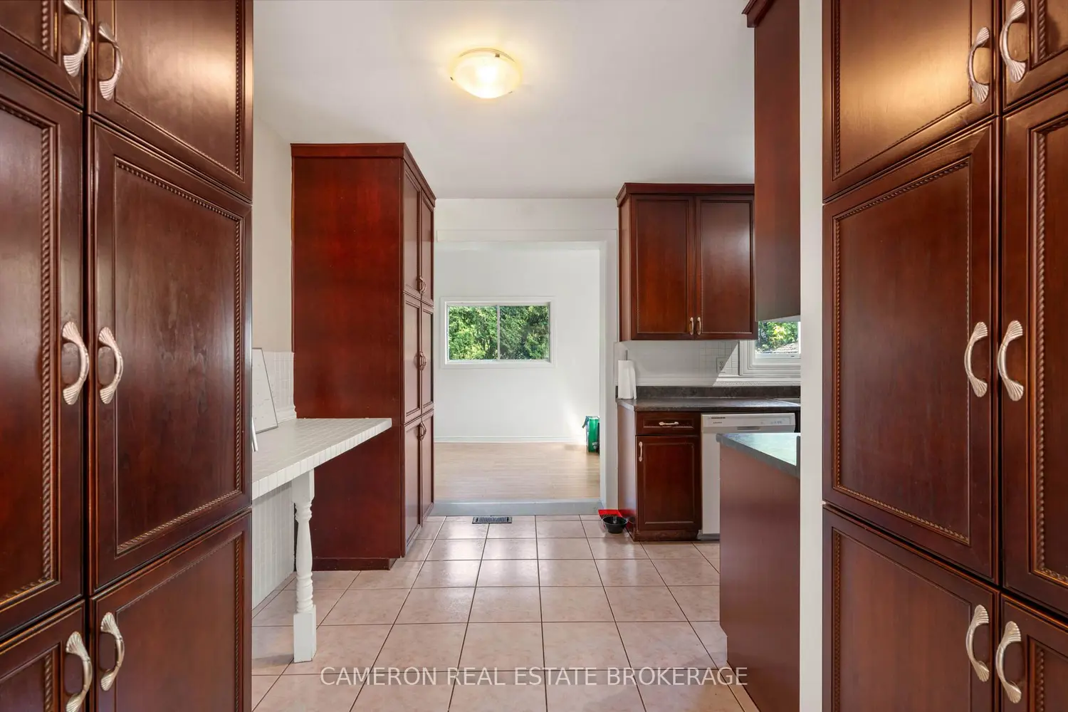 255 Laframboise Avenue photo 5