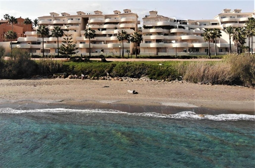 Estepona (Málaga)