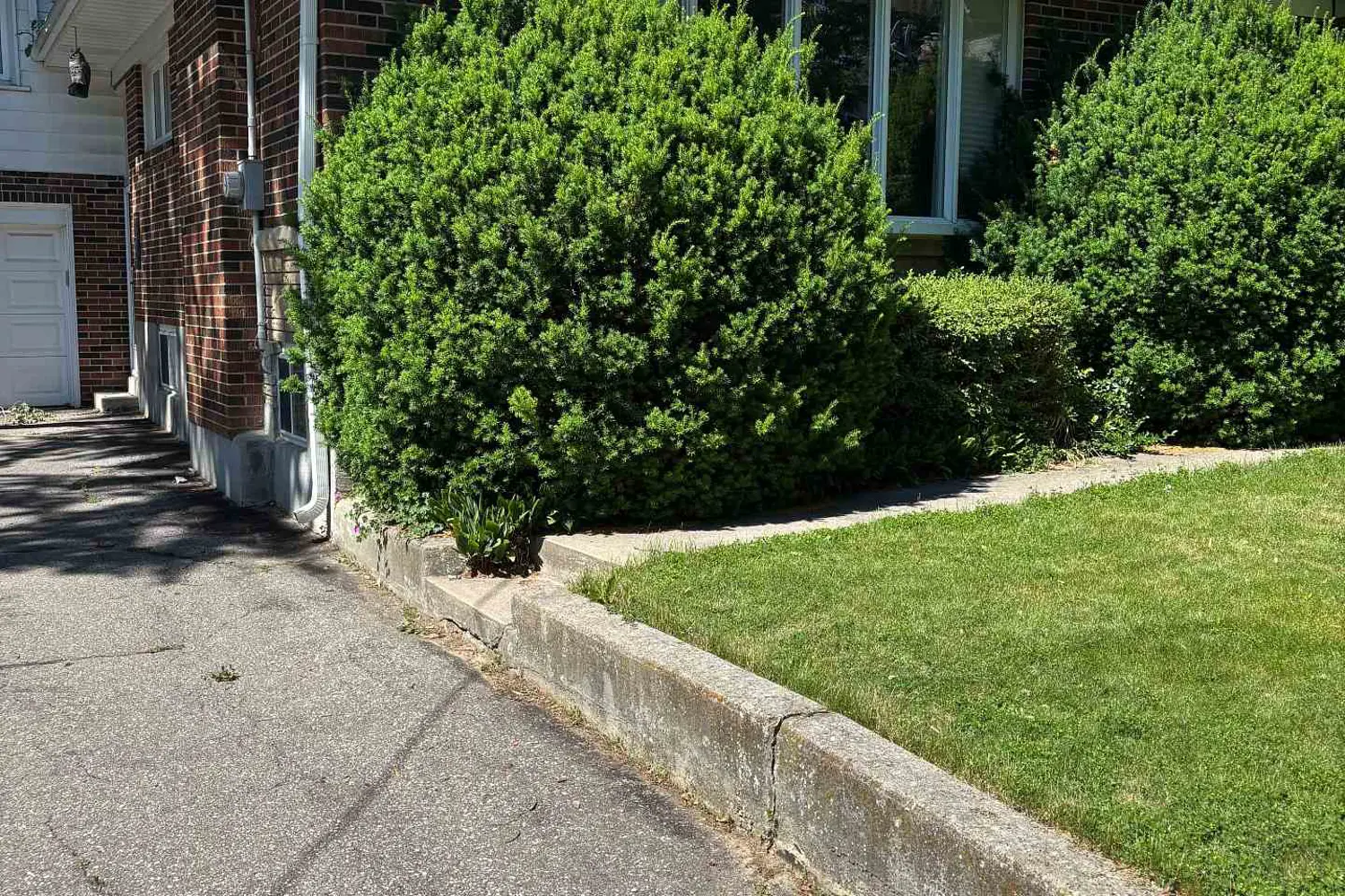 4 Winesap Place photo 2